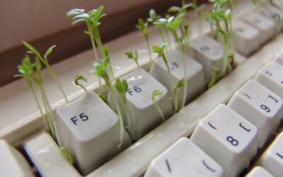 Plant the Seeds of Good Computer Habits